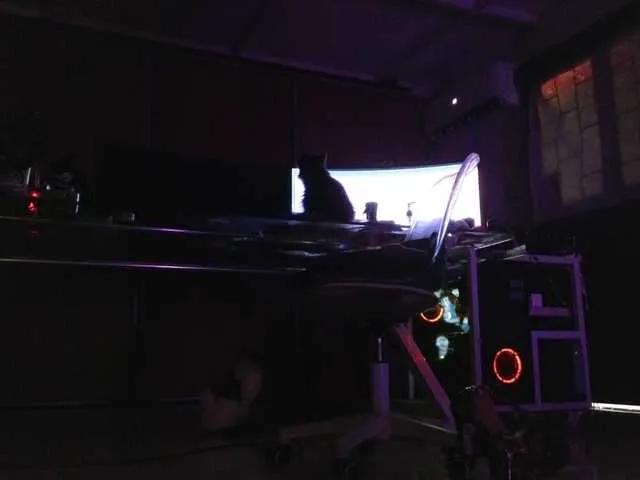 angelinasia on BongaCams