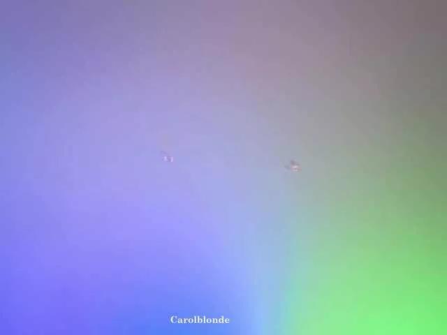 Offline Charlotte-glasses on BongaCams