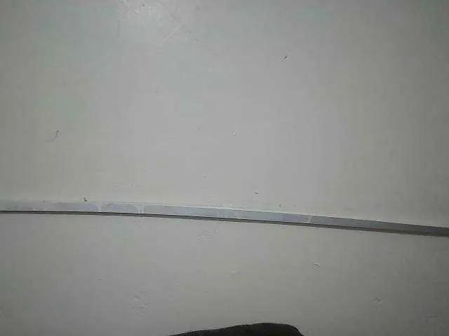 Darkdil — Freechat on BongaCams