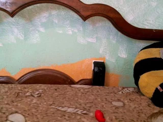 Offline DennisXCarol on BongaCams