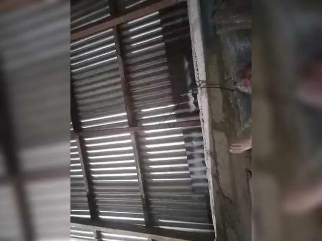 JuicyKittie — Freechat on BongaCams