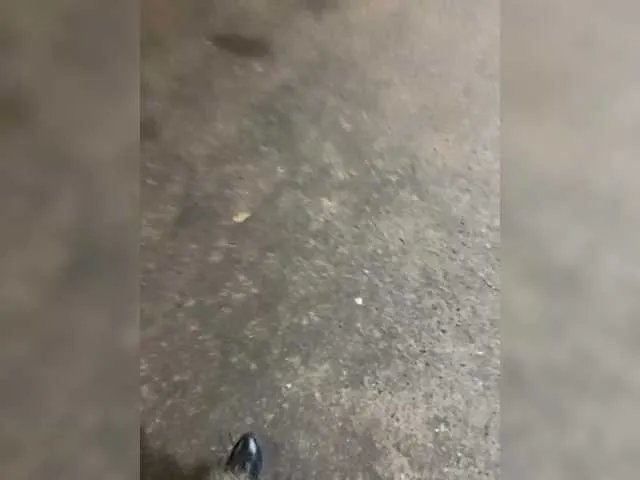 Offline Lisa1225 on BongaCams