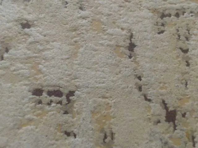 Offline moxxito on BongaCams