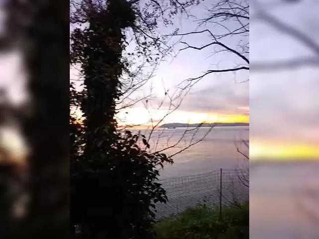 BongaCams TerriRose is Freechat TerriRose — Nothing excites a woman more than a man's generosity, combined with a touch of intelligence, humor, expensive perfume, and a hint of masculine energy and charisma.