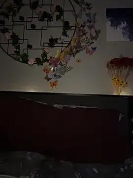 StripChat _Neeka_ is Freechat _Neeka_ — connect domi toy