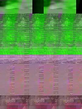 StripChat Aaisha-16 is Group Aaisha-16 — Group on StripChat