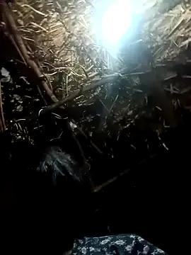 Cutsedi3 on StripChat