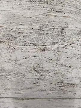 StripChat hot_plak is Freechat hot_plak — Freechat on StripChat