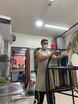 StripChat Leonardmoppet is Freechat Leonardmoppet — Cum show