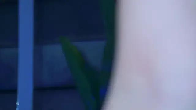 Freechat SecretSienna on StripChat